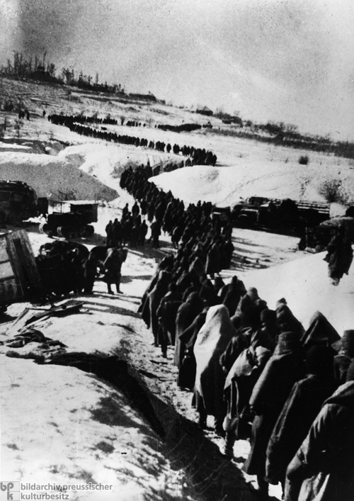 After the Battle – Surviving Members of the 6th Army (February 1943)